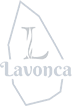 layer 66