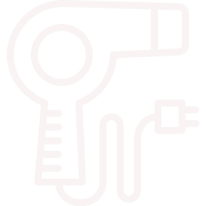 Deluxe hair dryer