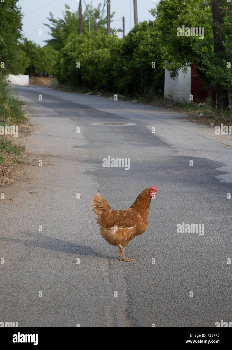 Descubre la emoción de Chicken Road en línea en España, juego chicken road