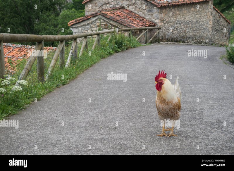Overview of chicken road españa